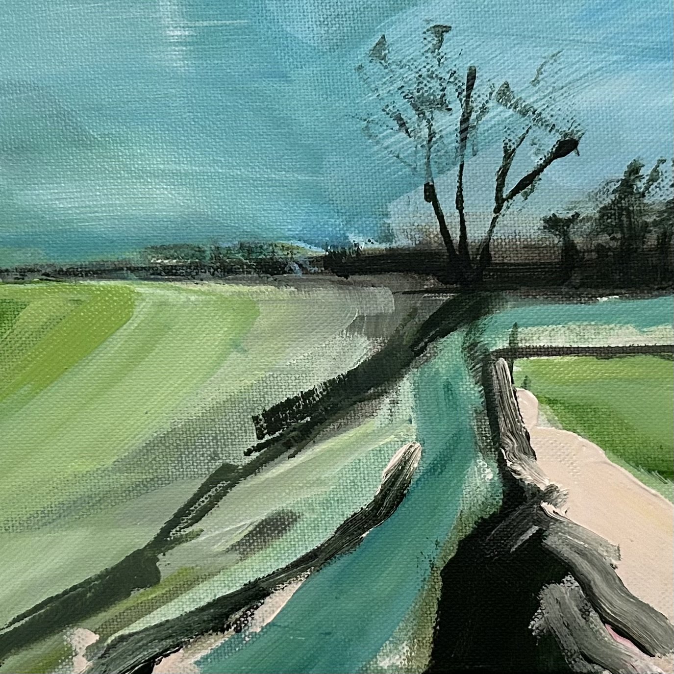 Early morning Somerset Ryne