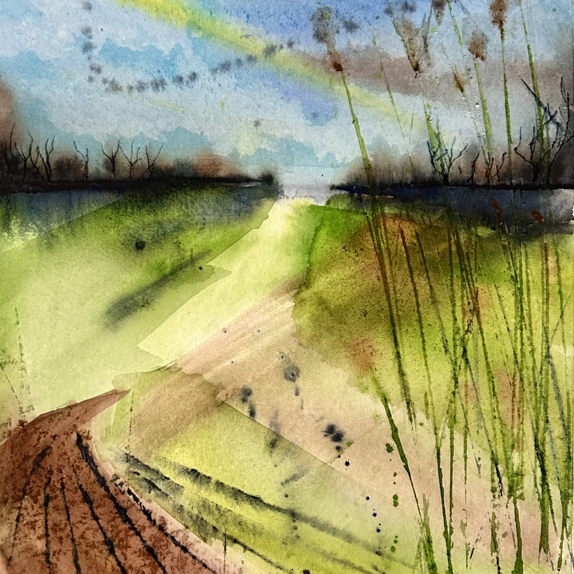 Walking in the fields towards Brent Knoll